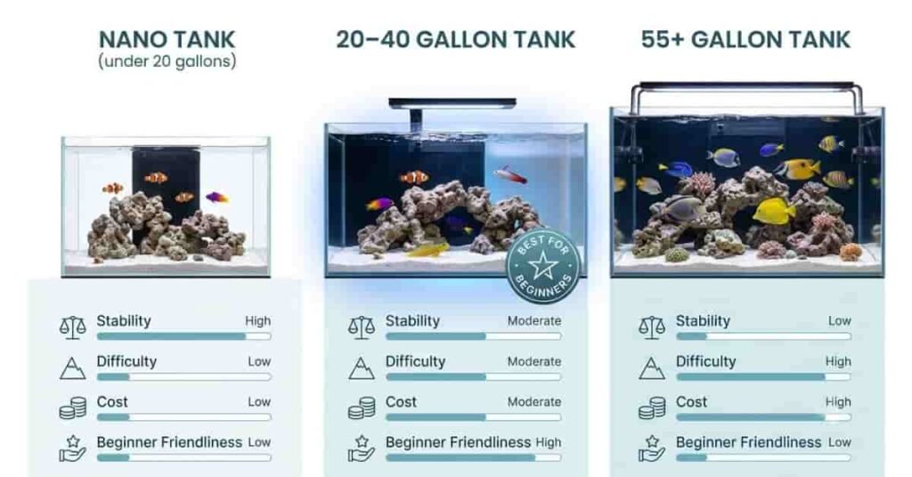 Marine aquarium tank size comparison showing nano, medium, and large aquariums for beginners.