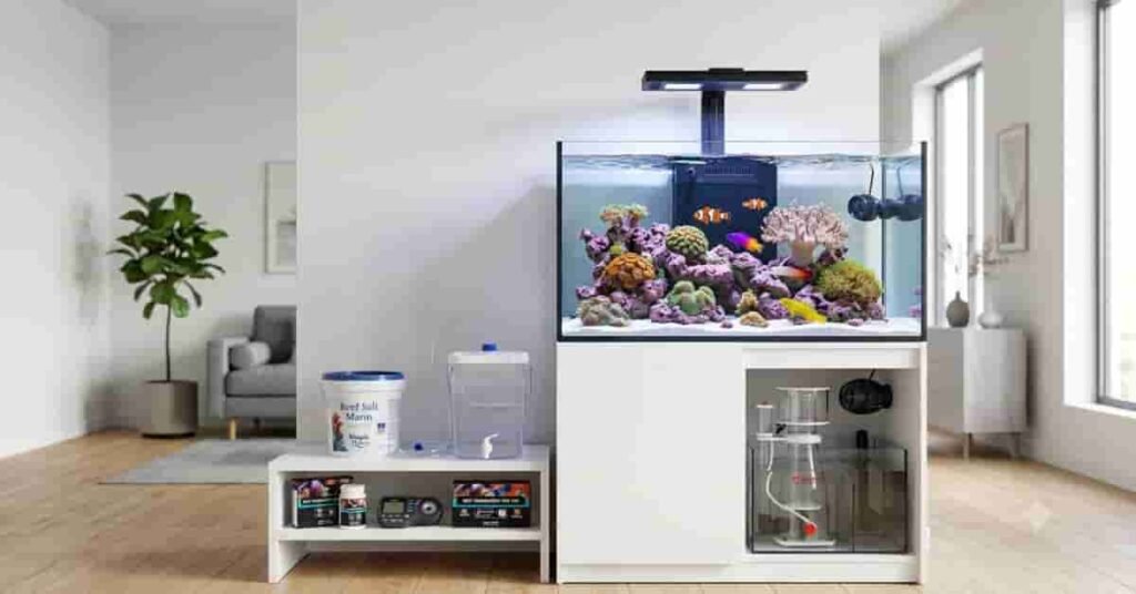 Professional reef aquarium setup featuring beginner-friendly corals, marine fish, live rock, and essential reef equipment.