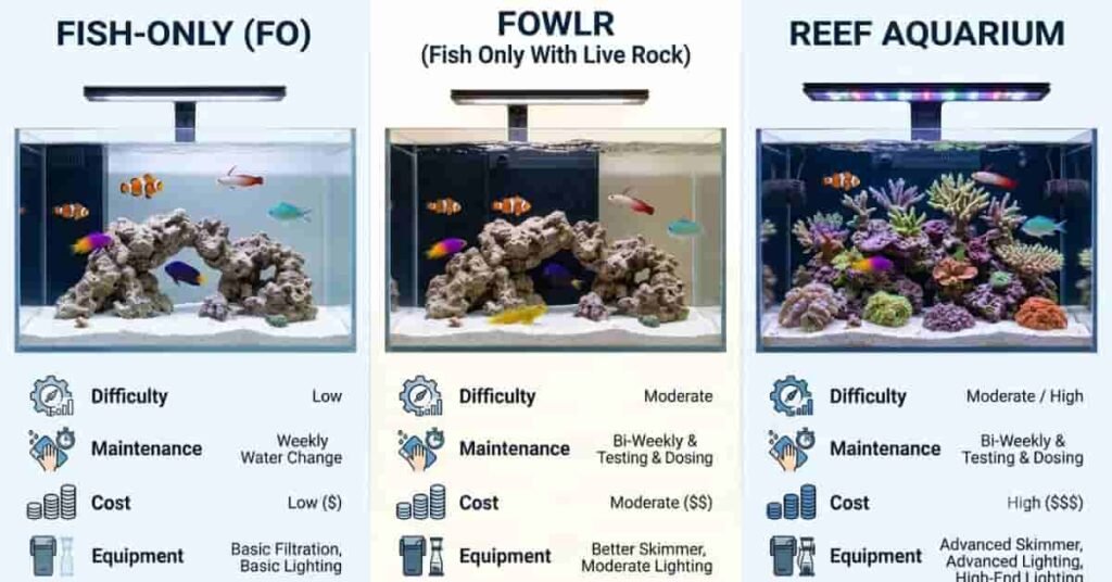 Comparison of Fish-Only, FOWLR, and Reef aquarium types for beginners.