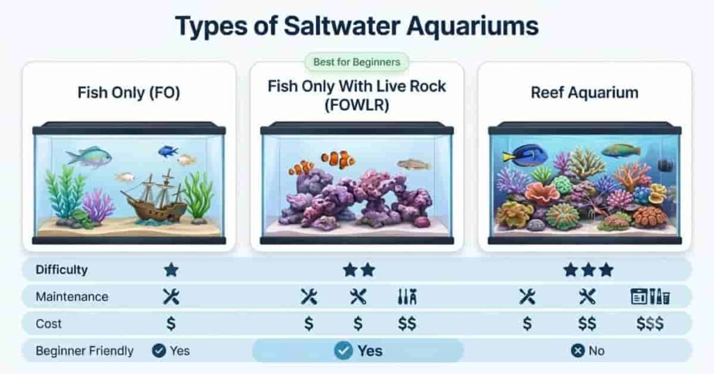 Comparison infographic of Fish Only, FOWLR, and Reef saltwater aquarium types for beginners.